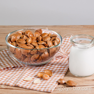 Nueces de almendras saladas tostadas de primera calidad para refrigerios saludables